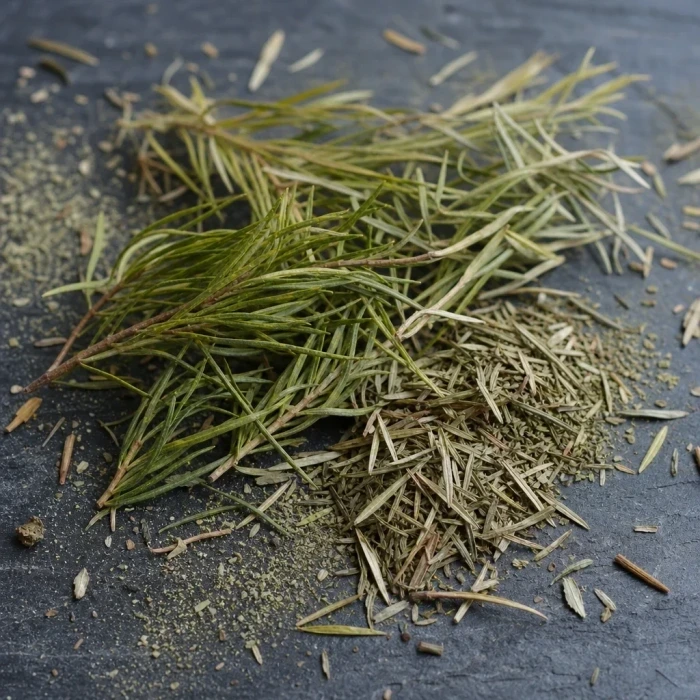 Tea tree leaves on dark slate stone