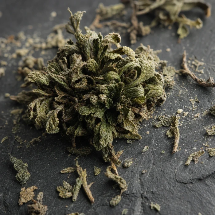 Chronoglow Haberlea Rhodopensis Leaf Extract