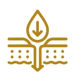 Mechanism step icon graphic