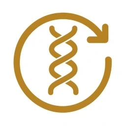 Mechanism step icon graphic