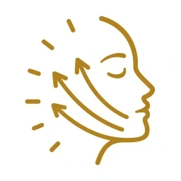 Mechanism step icon graphic