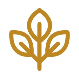 Bold gold botanical leaf icon on white