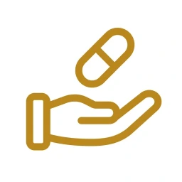 Gold capsule icon on white background