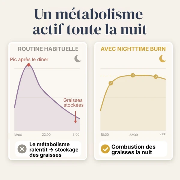Nighttime Burn 1 + 1 gratis Thermogénique nocturne pour soutenir le métabolisme