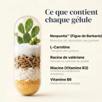 Nighttime Burn 1 + 1 gratis Thermogénique nocturne pour soutenir le métabolisme