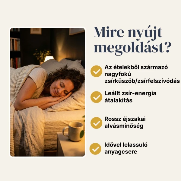 Nighttime Burn Támogasd szervezeted éjszakai zsírégető folyamatait alvás közben.