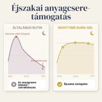 Nighttime Burn Támogasd szervezeted éjszakai zsírégető folyamatait alvás közben.