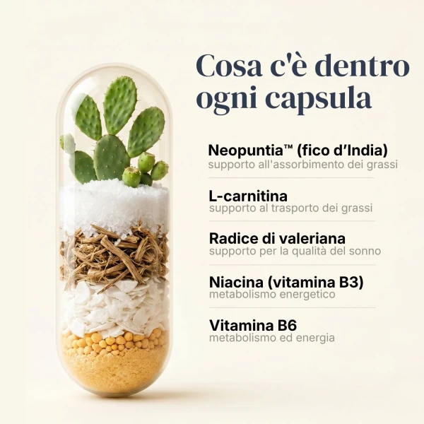 Nighttime Burn 1 + 1 gratis Termogenico notturono per sostenere il metabolismo