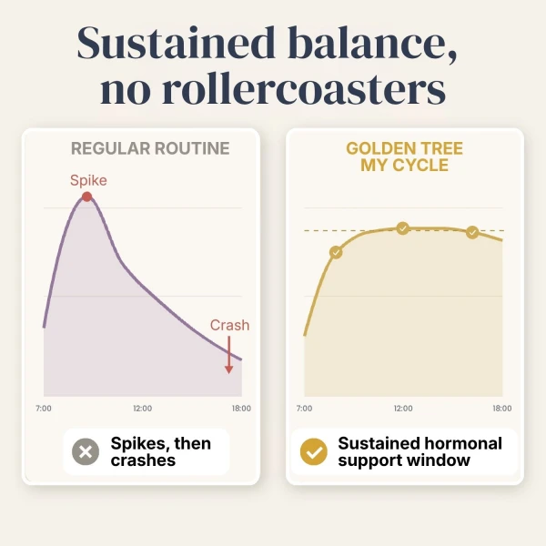 My Cycle