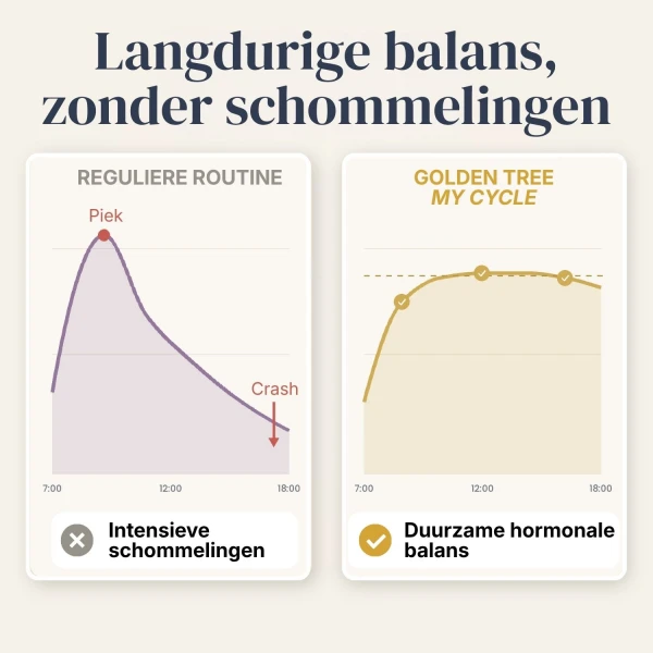 My Cycle
