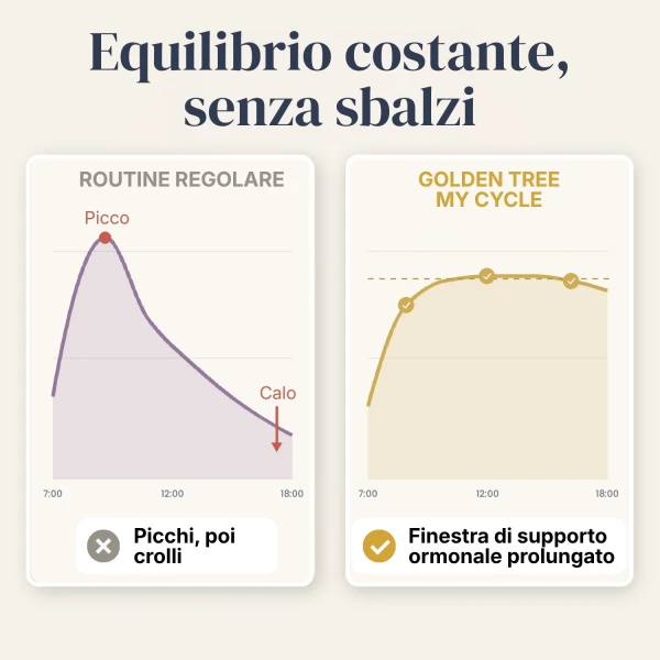 My Cycle