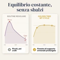 My Cycle