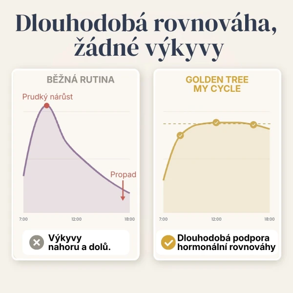 My Cycle