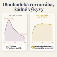 My Cycle