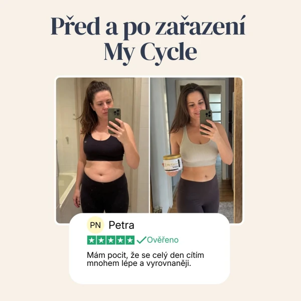 My Cycle