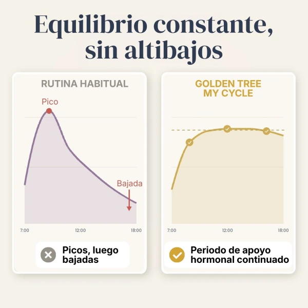 My Cycle