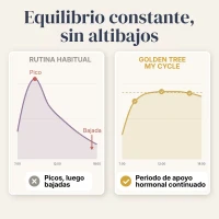 My Cycle