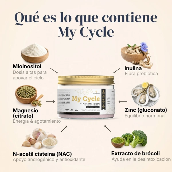 My Cycle