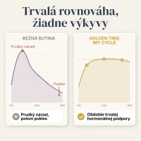 My Cycle