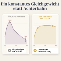 My Cycle