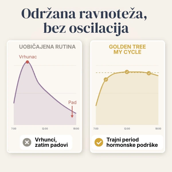 My Cycle