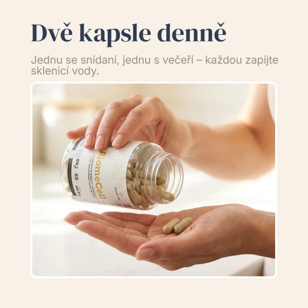 BiomeCell Přípravek s prebiotiky a probiotiky pro střevní mikrobiom