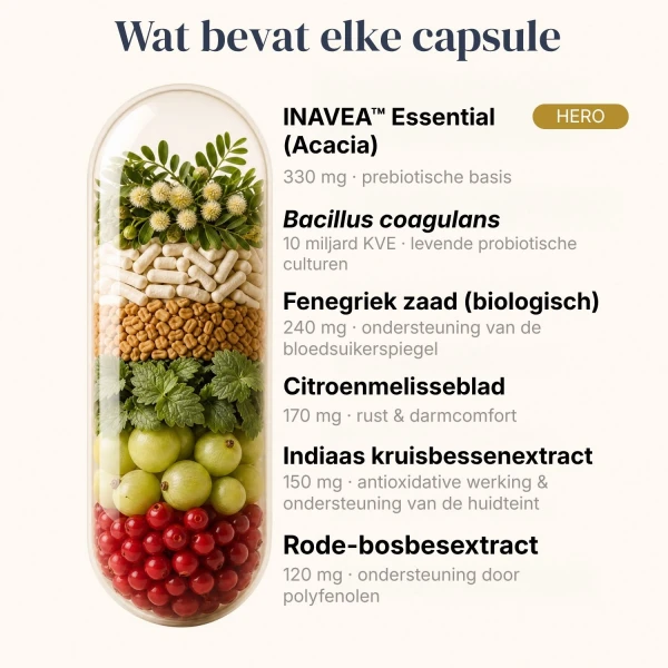 BiomeCell Prebiotische en probiotische formule voor het darmmicrobioom