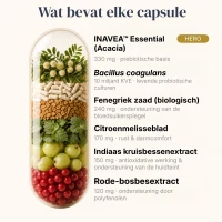 BiomeCell Prebiotische en probiotische formule voor het darmmicrobioom