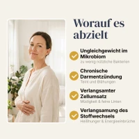 BiomeCell Darmflora-Formel mit Präbiotika und Probiotika