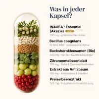 BiomeCell Darmflora-Formel mit Präbiotika und Probiotika