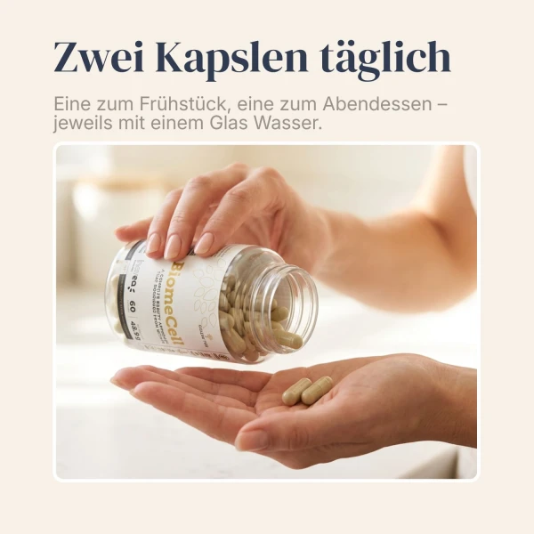 BiomeCell Darmflora-Formel mit Präbiotika und Probiotika