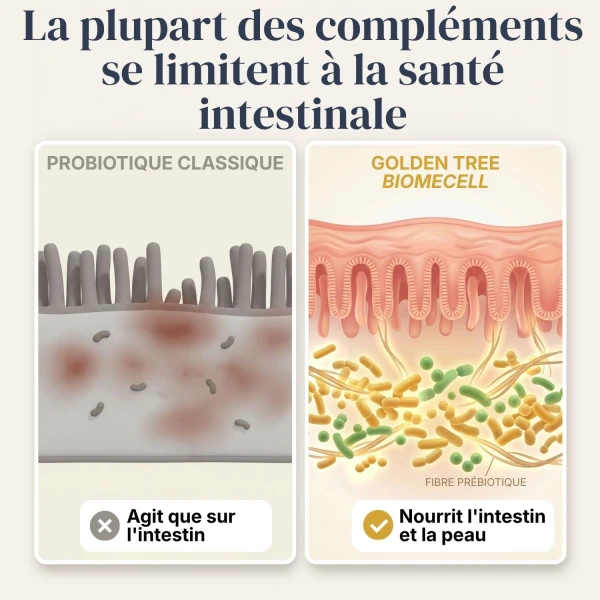 BiomeCell Formule prébiotique et probiotique pour le microbiome intestinal