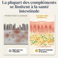 BiomeCell Formule prébiotique et probiotique pour le microbiome intestinal