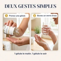 BiomeCell Formule prébiotique et probiotique pour le microbiome intestinal