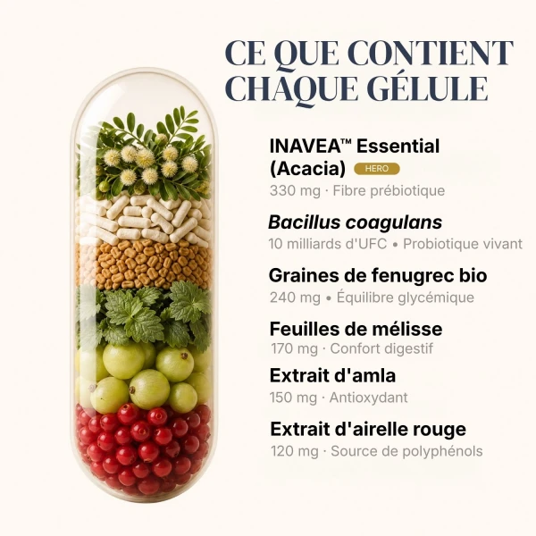 BiomeCell Formule prébiotique et probiotique pour le microbiome intestinal