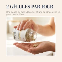 BiomeCell Formule prébiotique et probiotique pour le microbiome intestinal