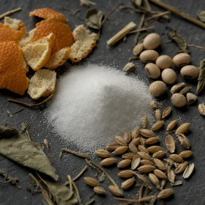 Myo-inositol powder on dark slate