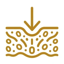 Absorption penetration arrow icon